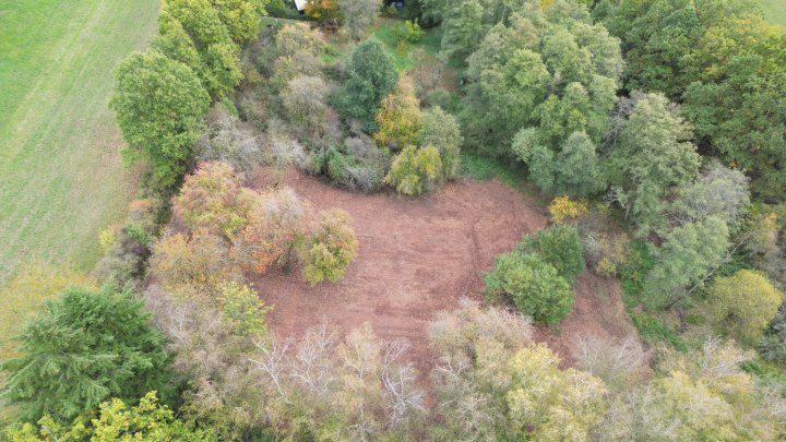 Dein Platz im Grünen – 1.985 m² Wochenendgrundstück in Schmelz