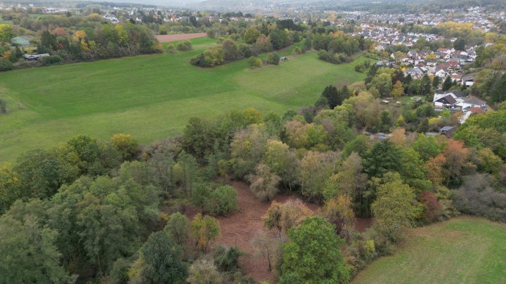 Dein Platz im Grünen – 1.985 m² Wochenendgrundstück in Schmelz