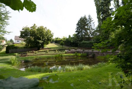 Garten / Teich