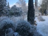 Garten im Winter