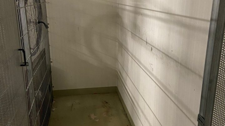Renovierte, vermietete 2 ZKB-Wohnung mit Stellplatz als Anlageobjekt
