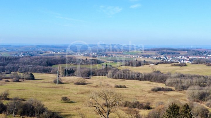 Gepflegtes Einfamilienhaus mit Terrasse, Garten und Garage in Heusweiler - Holz