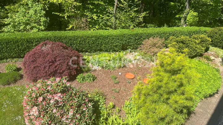 Exklusive sanierte Villa auf 480 m²: Luxus, Komfort und Stil in bester Lage