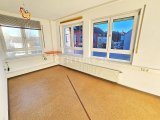 Helles lichtdurchflutetes Wohn - Esszimmer