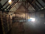 IMG_7529
