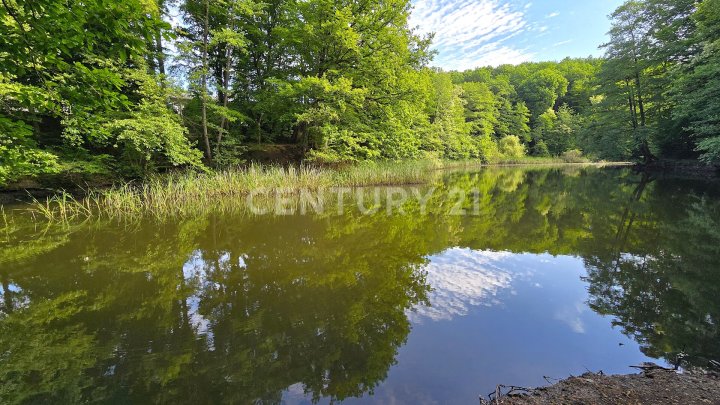 Attraktiver großer Bungalow mit ELW, Garten, 2 Garagen und Weiher in privilegierter Wohnlage