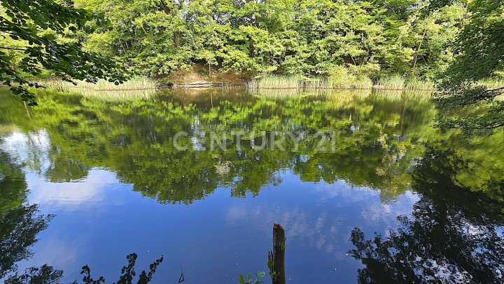 Attraktiver großer Bungalow mit ELW, Garten, 2 Garagen und Weiher in privilegierter Wohnlage
