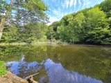 Großer Weiher mit viel Ruhe und Angelmöglichkeiten