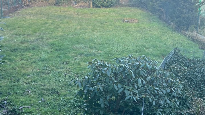 1-Familienhaus mit Gewerbeeinheit in begehrter Ortslage von Wadgassen zu verkaufen