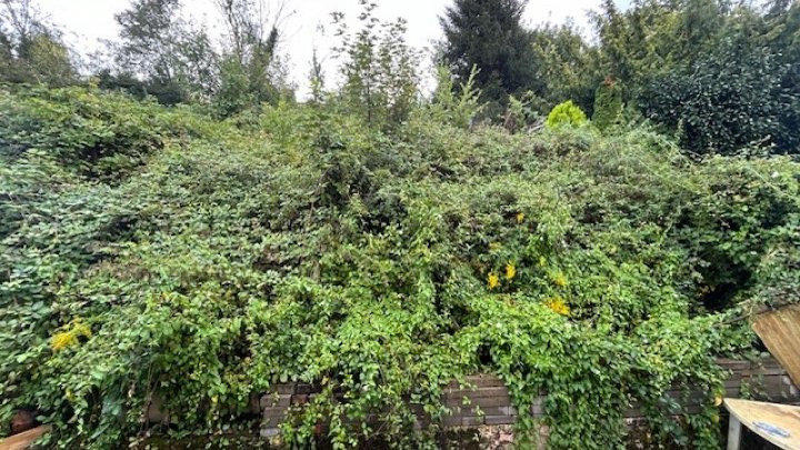 Einfamilienhaus in Sulzbach Altenwald – Ideal für Handwerker und Selbstmacher