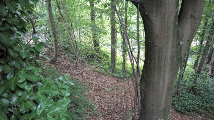 Hochwertig sanierter Luxus-Bungalow mit Einliegerwohnung, Photovoltaik und Großzügigem Grundstück