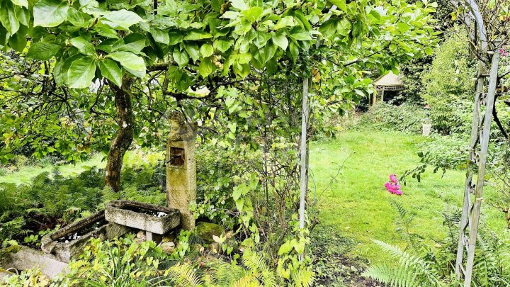 Kleines Haus statt Wohnung - mit Garten, Balkon, Terrasse und Stellplatz für Singles / Paare