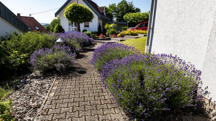 Luxus trifft Weitblick–Großzügiges Anwesen mit Einliegerwohnung, Pool & Wellnessbereich zu verkaufen