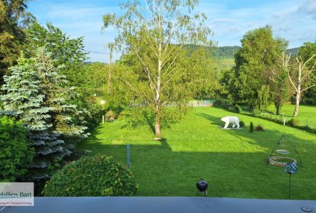 Mosel-Blick