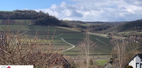 Ausblick