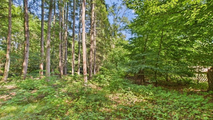 Verstecktes Paradies für Ruhesuchende – Wochenendgrundstück in traumhafter Lage