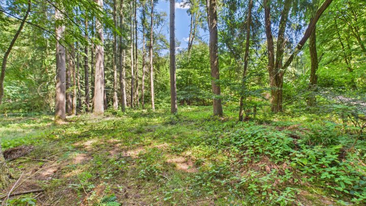 Verstecktes Paradies für Ruhesuchende – Wochenendgrundstück in traumhafter Lage