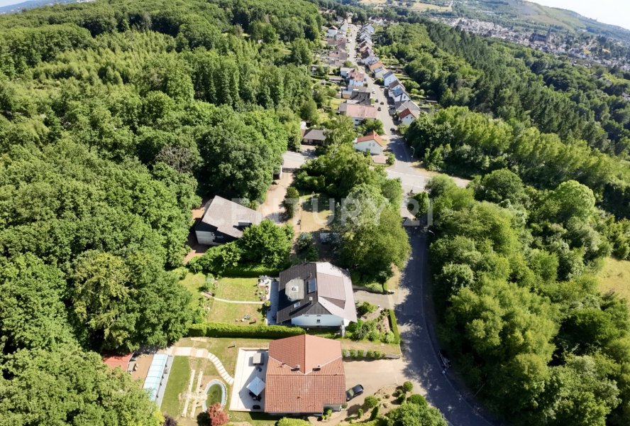 Privatsphäre am Waldrand