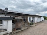 IMG_0801