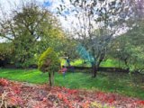 Wunderschöne Gartenanlage