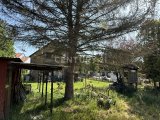 Garten mit Hütte