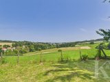 Ausblick Garten