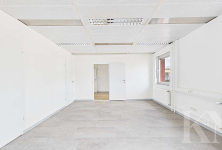 Büroraum 1/Konferenzraum
