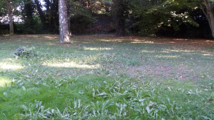 PROVISIONSFREI!!  Sehr schöne ruhige Wohnung zentrumsnah in Saarlouis zu vermieten