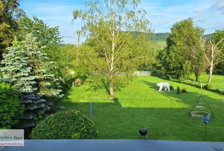 Mosel-Blick