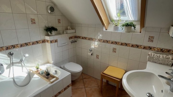 Zweifamilienhaus mit Gewerbeanteil: Halle, Werkstatt, Garagen, über 800m² Gesamtfläche