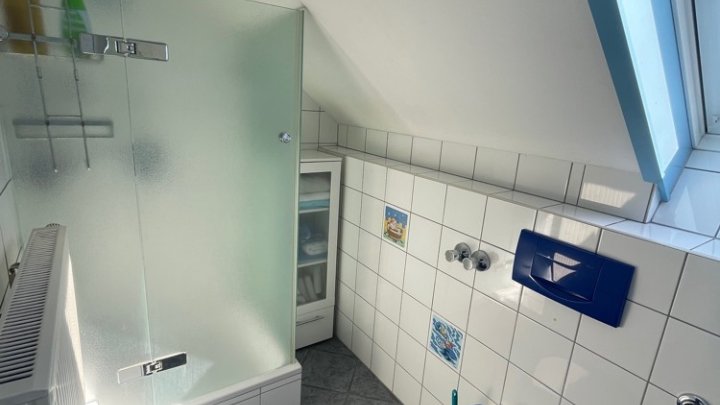 Zweifamilienhaus mit Gewerbeanteil: Halle, Werkstatt, Garagen, über 800m² Gesamtfläche