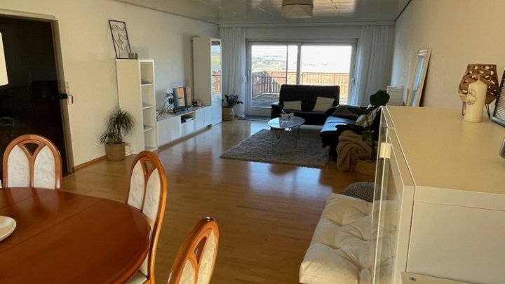 Zweifamilienhaus mit Gewerbeanteil: Halle, Werkstatt, Garagen, über 800m² Gesamtfläche