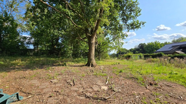 Seltene Gelegenheit! Häuschen im Grünen! Natur pur!
