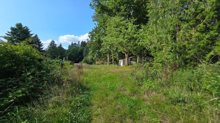 Seltene Gelegenheit! Häuschen im Grünen! Natur pur!
