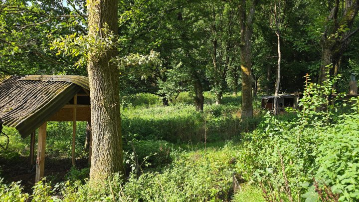 Seltene Gelegenheit! Häuschen im Grünen! Natur pur!