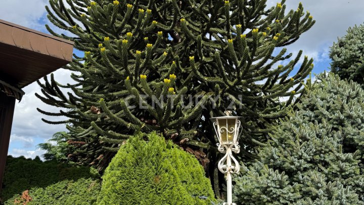 Bungalow, Garten, zwei Terrassen, Bonus-Bauplatz –Platz für Träume, Gartenpartys und Abenteuer!