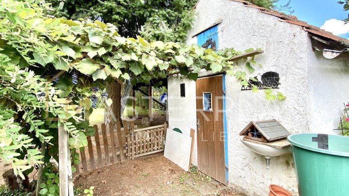 Charmantes Einfamilienhaus auf dem Steinrausch