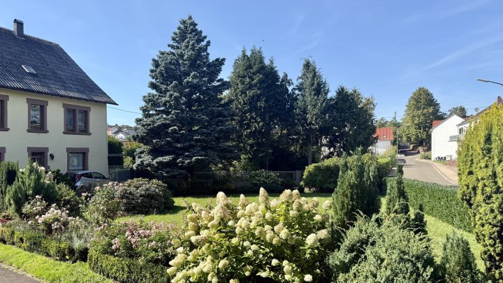 Freistehendes Einfamilienhaus mit Einliegerwohnung und großem Grundstück in Lebach OT zu verkaufen
