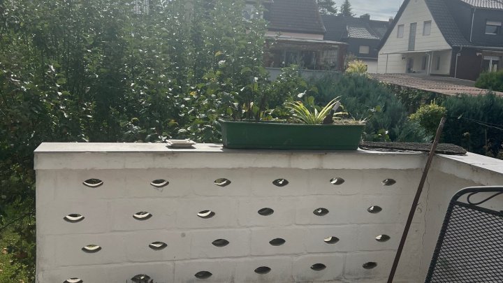 Freistehendes 1-Familienhaus in zentraler Lage von Lebach zu verkaufen