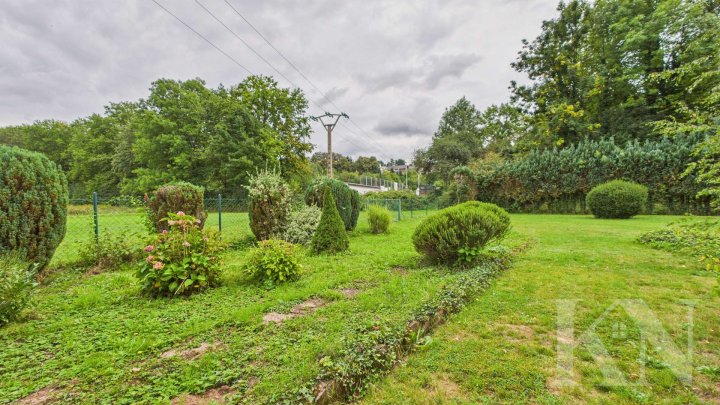 Viel Platz. Viel Grün. Viel Potenzial – Ihr neues Zuhause in Schmelz