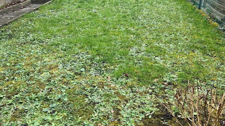  1-Familienhaus in ruhiger Nebenstrasse in Wadgassen-Hostenbach zu verkaufen