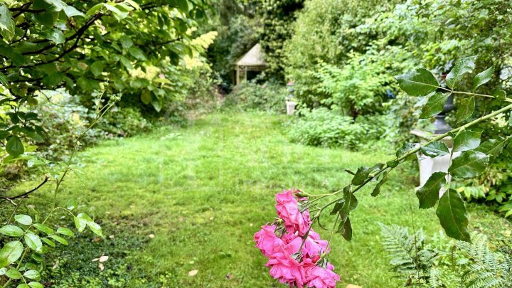 Charmantes Haus – ideal für Singles oder Paare - mit Garten, Terrasse, Balkon und Stellplatz