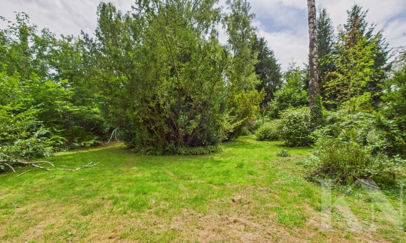 Attraktive Gelegenheit: Großes Grundstück in Riegelsberg – ideal für Familien oder Investoren!