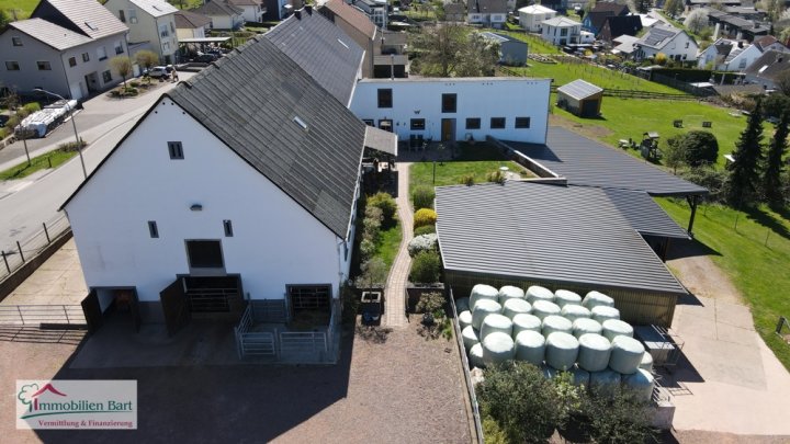 RENOVIERTER BAUERNHOF AUF 45 AR! / IDEAL FÜR TIERFREUNDE & HOBBYSCHRAUBER!