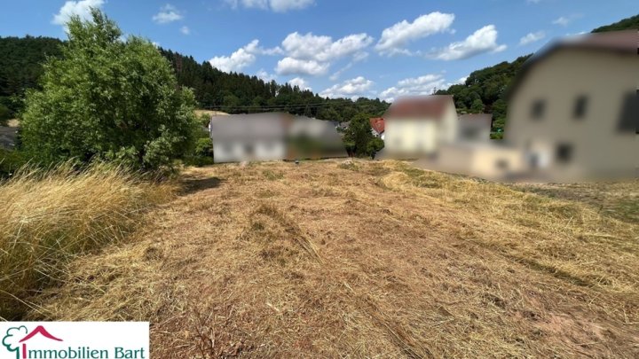 11 AR BAUGRUNDSTÜCK IN TOP LAGE IN DER NÄHE VON LOSHEIM!