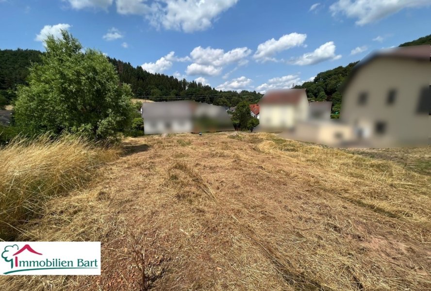 Blick vom Grundstücksende