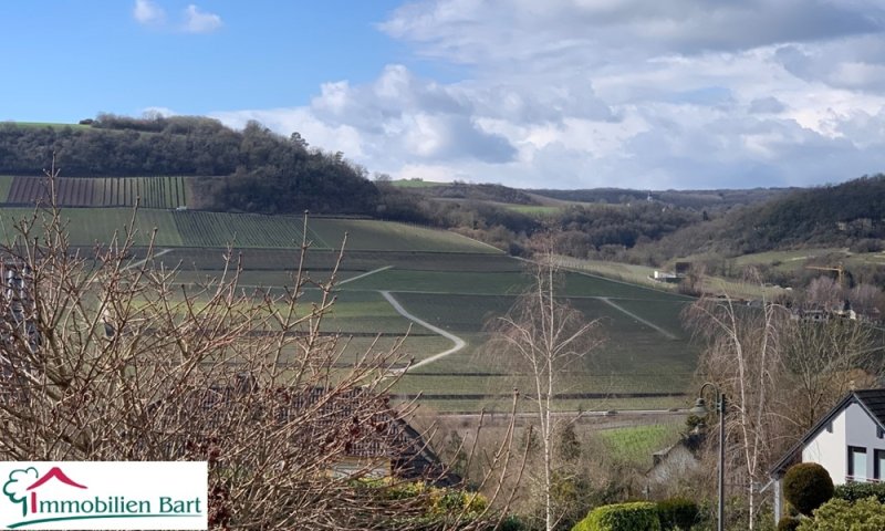 NITTEL: WOHNHAUS MIT KELLER + PHOTOVOLTAIK AM ORTSRAND!