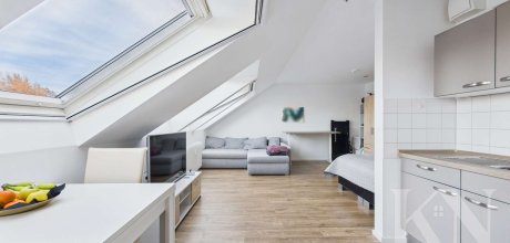 Wohnbereich / Küche