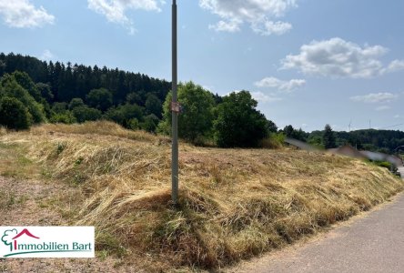 Blickrichtung von links