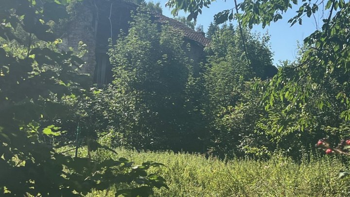 Großes schön gelegenes Grundtsück nahe an der Prims in Wadern-Büschfeld zu verkaufen